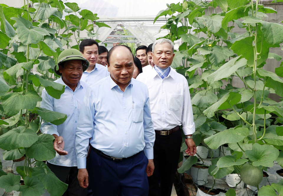 Chủ tịch nước Nguyễn Xuân Phúc thăm mô hình người cao tuổi làm kinh tế giỏi Hợp tác xã Tân Minh Đức. (Ảnh: Thống Nhất/TTXVN)