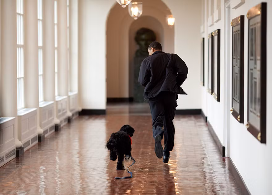 Giây phút đáng yêu Tổng thống Mỹ cùng chó Bo tại Nhà Trắng. (Nguồn: White House)