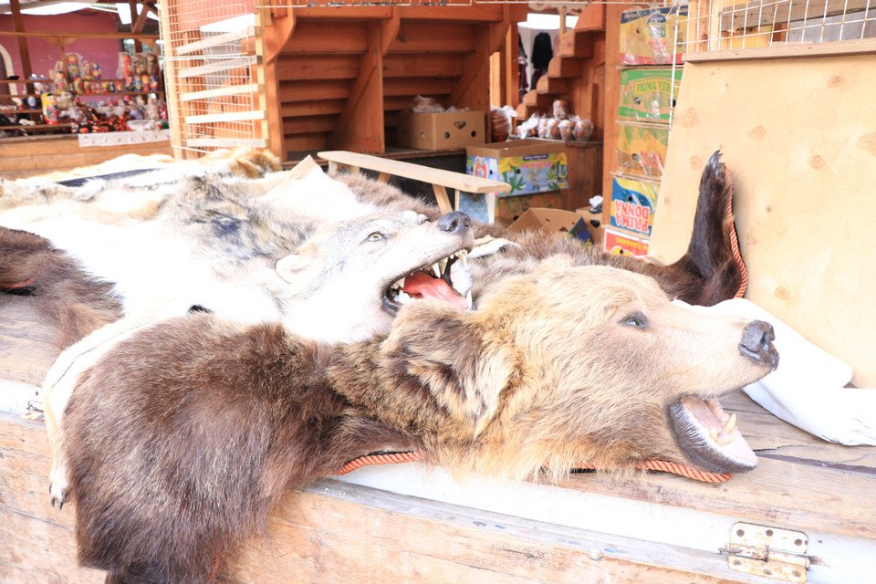 Những bộ lông thú như gấu, chó sói… được trưng bày tại khu chợ lưu niệm Vernissage. (Ảnh: Hùng Võ/Vietnam+)