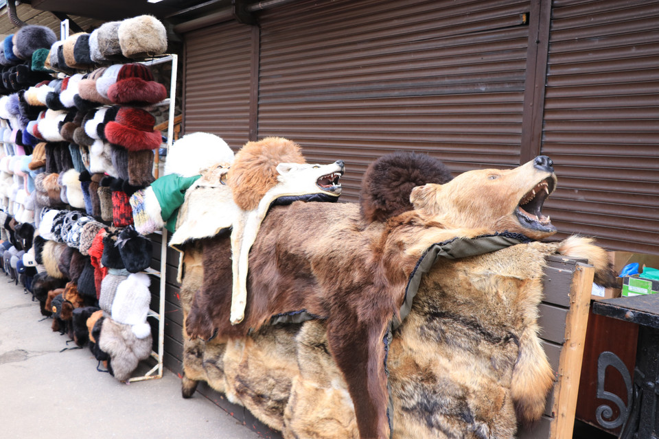 Những bộ lông thú như gấu, chó sói… được trưng bày tại khu chợ lưu niệm Vernissage. (Ảnh: Hùng Võ/Vietnam+)