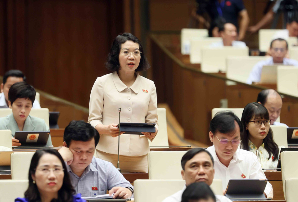 Đại biểu Quốc hội tỉnh Nam Định Mai Thị Phương Hoa chất vấn. (Ảnh: An Đăng/ TTXVN)