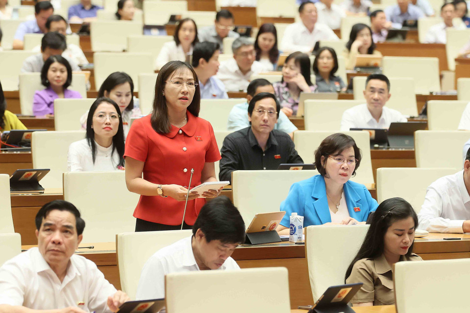 Đại biểu Quốc hội tỉnh Bến Tre Nguyễn Thị Yến Nhi chất vấn. (Ảnh: An Đăng/TTXVN)