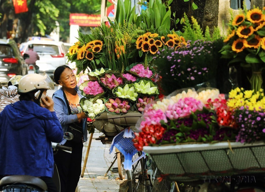 Những hàng hoa trên phố Thụy Khuê từ lâu đã trở thành một nét đẹp của Thủ đô, làm cho Hà Nội thêm phần rực rỡ, mang lại những cảm xúc đặc biệt chỉ có ở mảnh đất ngàn năm văn hiến. (Ảnh: Lâm Khánh/TTXVN)