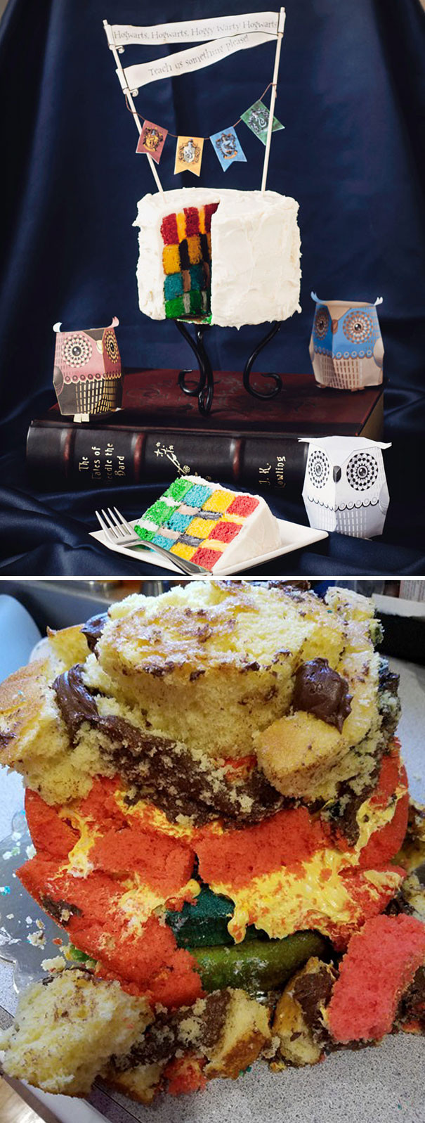 Mẹ tôi vẫn bảo 'đầu mày như tổ cú,' và đây, chính là tổ cú đây. (Nguồn: boredpanda.com)