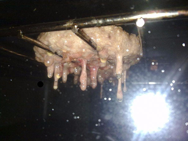 Miếng thịt hamburger nướng quá đà chuyển sang hóa thạch nhũ. (Nguồn: boredpanda.com)