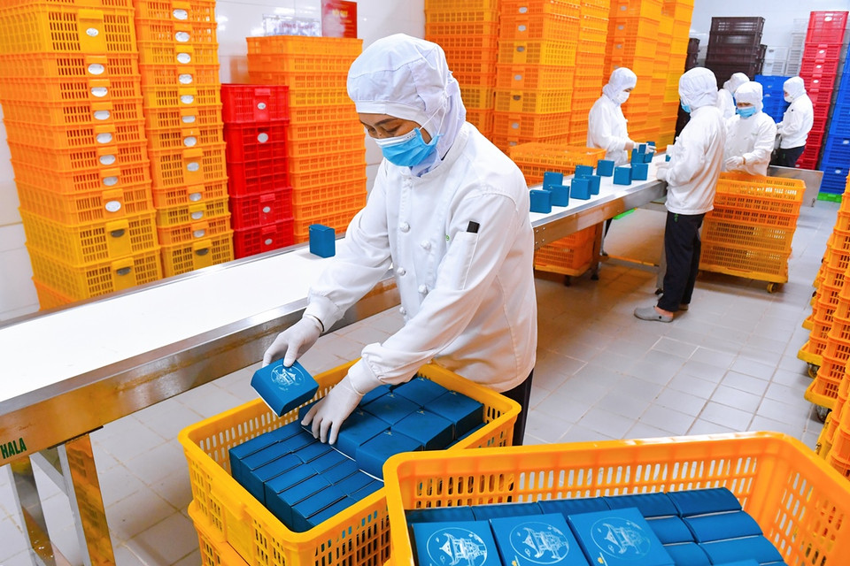 Các nhân viên công ty suất ăn làm việc liên tục ngày đêm để sản xuất, đóng gói, kịp thời đưa hàng lên tàu bay. (Ảnh: CTV/Vietnam+)