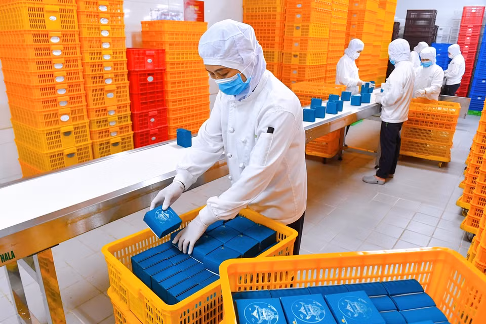 Các nhân viên công ty suất ăn làm việc liên tục ngày đêm để sản xuất, đóng gói, kịp thời đưa hàng lên tàu bay. (Ảnh: CTV/Vietnam+)