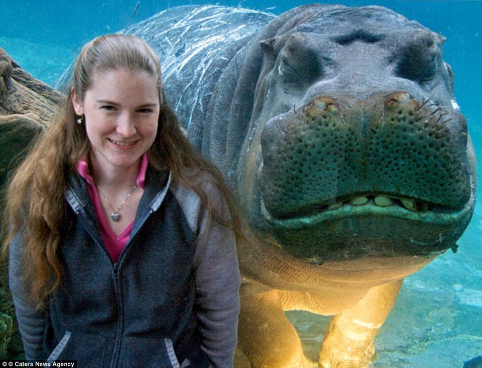 Lauren Parker, 30 tuổi, vui vẻ tạo dáng chụp ảnh tại vườn thú San Diego, không hề biết rằng chú hà mã mang tên Otis cũng muốn được chụp ảnh. (Nguồn: Daily Mail Australia)