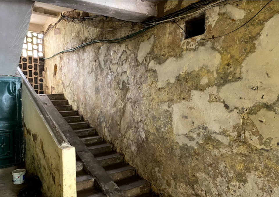 Phần tường dọc theo hành lang của toàn nhà khu G6a đã bị phủ kín bởi nấm mốc. (Ảnh: Hùng Nguyễn/Vietnam+)