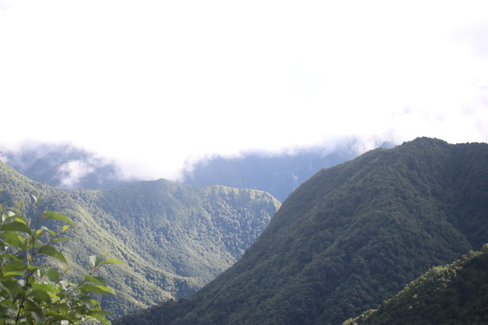  (Ảnh: Hùng Võ/Vietnam+)