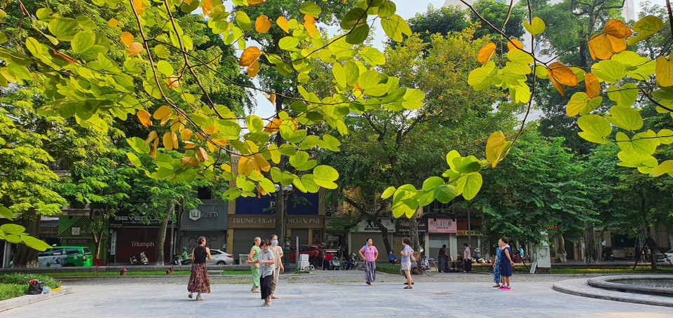 Sắc thu Hà Nội. (Ảnh: Danh Lam/TTXVN)