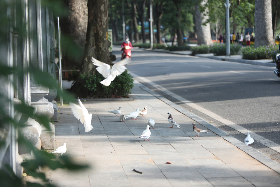 Khung cảnh yên bình sớm thu Hà Nội. (Ảnh: Danh Lam/TTXVN)