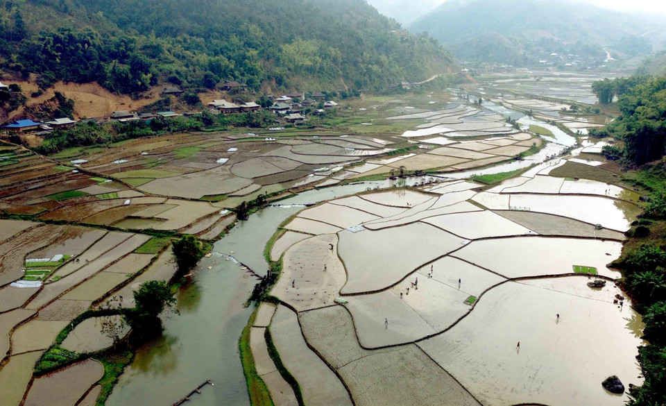 Những thửa ruộng tại bản É Tòng (Thuận Châu, Sơn La) mùa nước đổ. (Ảnh: Quang Quyết/TTXVN)