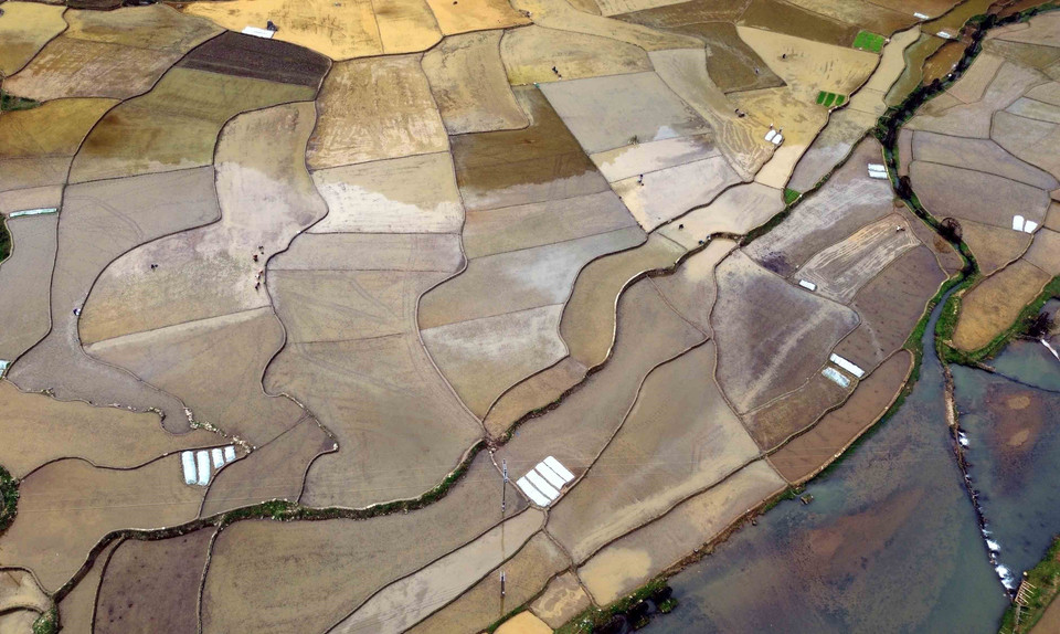 Những thửa ruộng tại bản É Tòng (Thuận Châu, Sơn La) mùa nước đổ. (Ảnh: Quang Quyết/TTXVN)