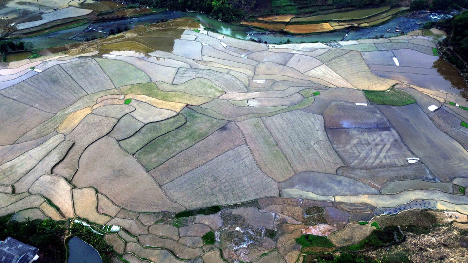 Những thửa ruộng tại bản É Tòng (Thuận Châu, Sơn La) mùa nước đổ. (Ảnh: Quang Quyết/TTXVN)