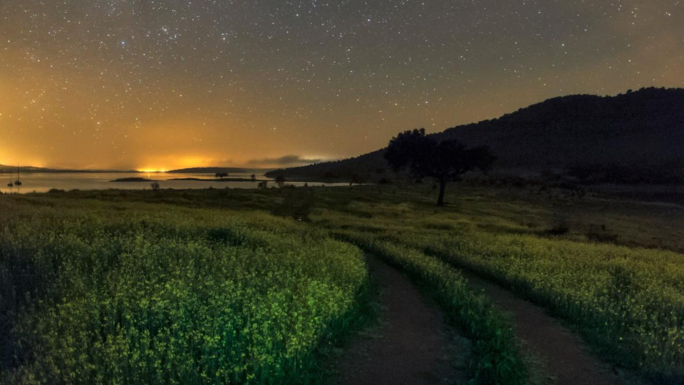 Một cánh đồng bên hồ Alqueva kỳ ảo dưới hàng ngàn ánh sao sáng và ánh sáng xung quanh khác tại Bồ Đào Nha. (Nguồn: NatGeo)