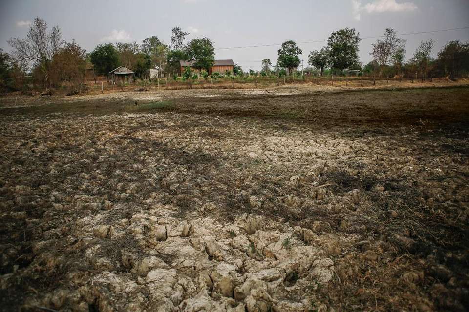 Nhiều hồ chứa nước ở huyện Buôn Đôn đã cạn kiệt bởi khô hạn kéo dài liên tục suốt mấy tháng qua. (Ảnh: Trọng Đạt/TTXVN)