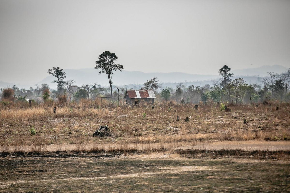 Trên địa bàn các huyện Ea Súp, Ea Kar, Krông Bông, Krông Păk, Cư M gar, Buôn Đôn, Krông Ana, đâu đâu cũng chỉ một màu khô hạn và nắng cháy oi nồng. (Ảnh: Trọng Đạt/TTXVN)