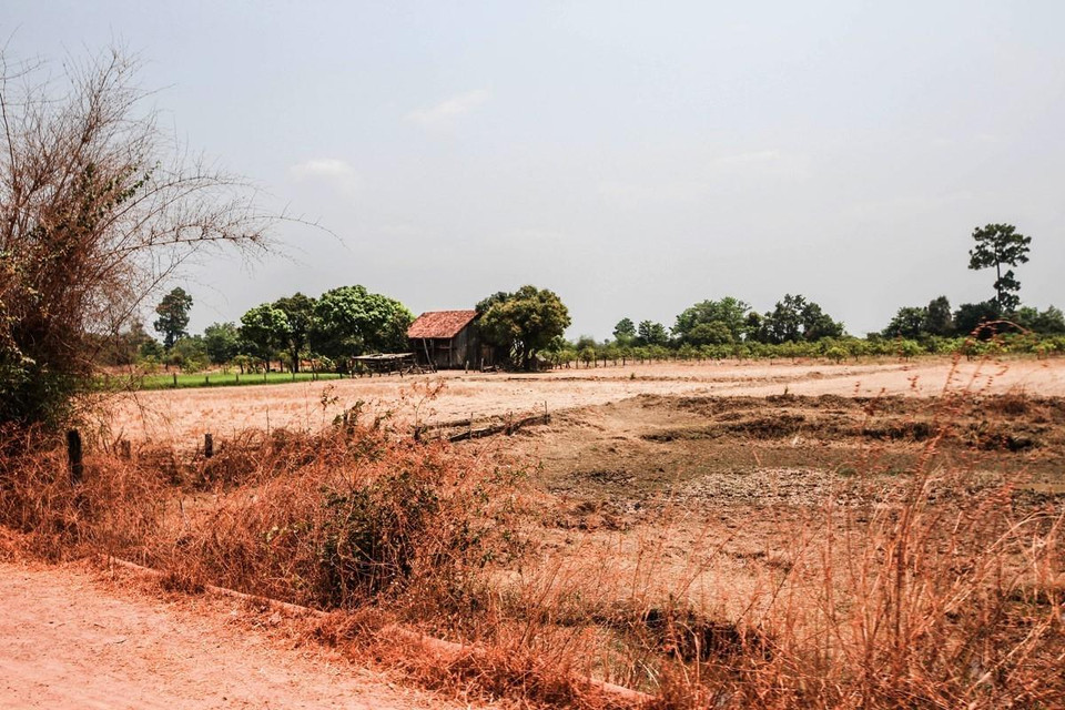 Trên địa bàn các huyện Ea Súp, Ea Kar, Krông Bông, Krông Păk, Cư M gar, Buôn Đôn, Krông Ana, đâu đâu cũng chỉ một màu khô hạn và nắng cháy oi nồng. (Ảnh: Trọng Đạt/TTXVN)