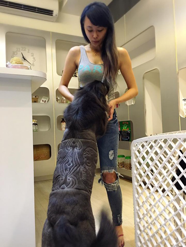 (Nguồn: http://shanghaiist.com)