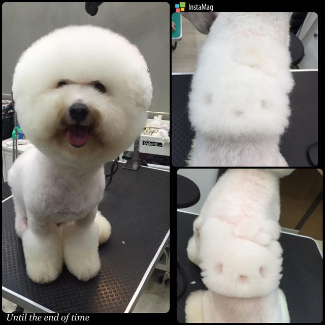 Một fan hâm mộ của Hello Kitty. (Nguồn: http://shanghaiist.com)