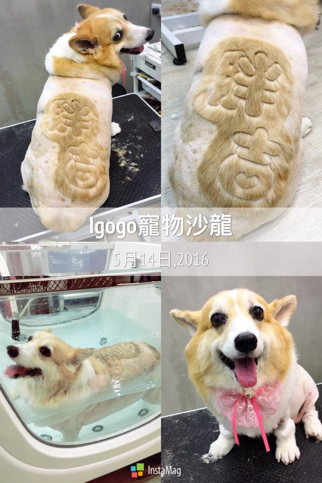 Thông điệp bí ẩn dành cho những ai thực sự quan tâm. (Nguồn: http://shanghaiist.com)