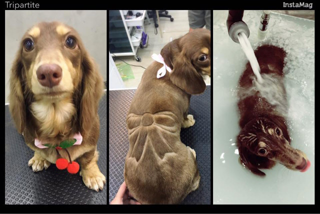 Một món quà quý giá được thắt nơ mang đến. (Nguồn: http://shanghaiist.com)