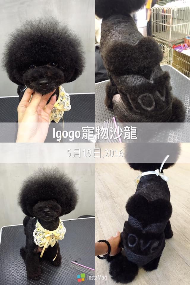 Dù đen hay đỏ, trái tim vẫn thể hiện cho tình yêu. (Nguồn: http://shanghaiist.com)