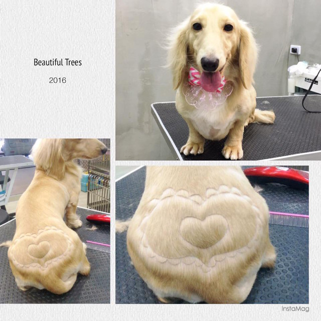 Nhìn vào mắt em thấy chan chứa tình yêu, còn nhìn sang mông em cũng vẫn thấy tình yêu chan chứa. (Nguồn: http://shanghaiist.com)