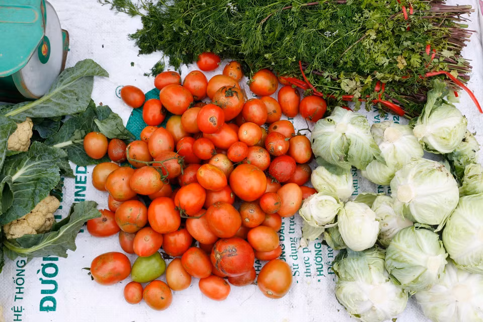 Những mặt hàng nông sản được trồng từ chính những người dân nơi đây. (Ảnh: Minh Quyết/TTXVN)