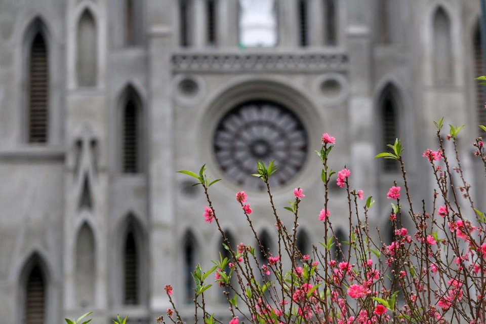 Nhà thờ Lớn Hà Nội với "chiếc áo mới". (Ảnh: Tuấn Đức/TTXVN)