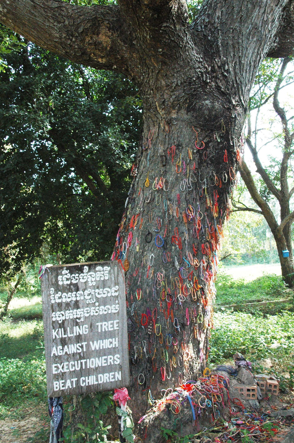 Cây “Giết người,” nơi xưa kia Khmer Đỏ đập các trẻ em vô tội, với các vòng tay tưởng niệm của du khách. (Ảnh: Xuân Khu/Vietnam+)