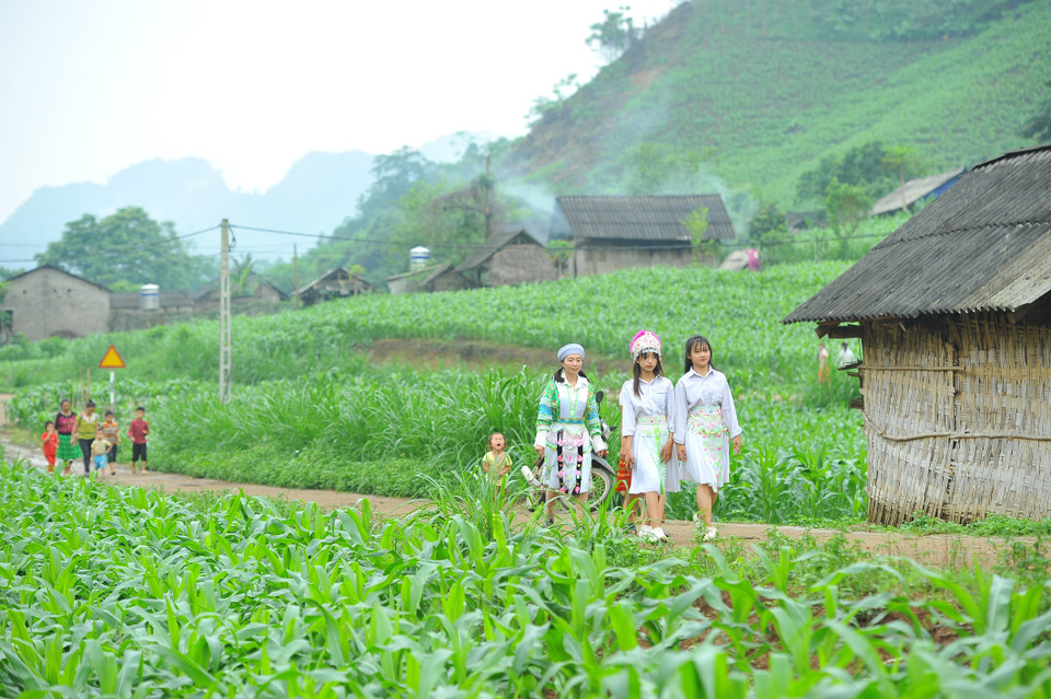 Đồng bào người dân tộc đến điểm niêm yết danh sách cử tri thuộc xã Phương Giao, huyện Võ Nhai, tỉnh Thái Nguyên. (Ảnh: Minh Đức/TTXVN)