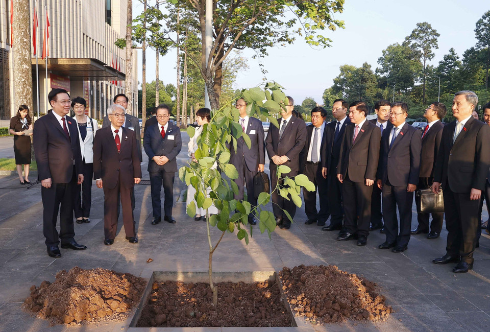 Chủ tịch Thượng viện Nhật Bản Otsuji Hidehisa tặng cây Osaka đỏ cho Quốc hội Việt Nam. (Ảnh: Doãn Tấn/TTXVN)