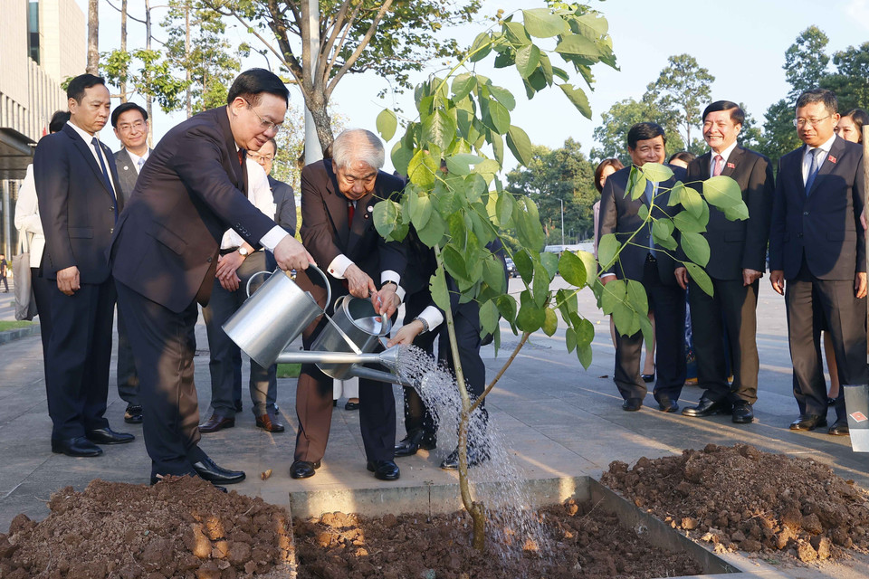 Chủ tịch Quốc hội Vương Đình Huệ và Chủ tịch Thượng viện Nhật Bản Otsuji Hidehisa thực hiện nghi thức trồng cây. (Ảnh: Doãn Tấn/TTXVN)