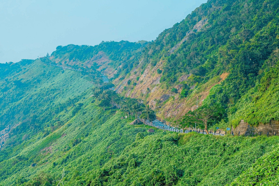 Nằm cách trung tâm thành phố Đà Nẵng 10km về phía Đông Bắc, Bán đảo Sơn Trà có diện tích 4.390ha với cảnh quan thiên nhiên đa dạng, khí hậu trong lành, hệ thống giao thông thuận lợi. (Ảnh: Văn Dũng/TTXVN)