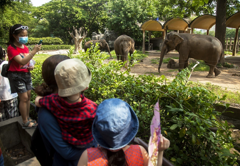 Du khách tham quan điểm du lịch Thảo Cầm Viên, Quận 1 (Thành phố Hồ Chí Minh). (Ảnh: Hồng Đạt/TTXVN)