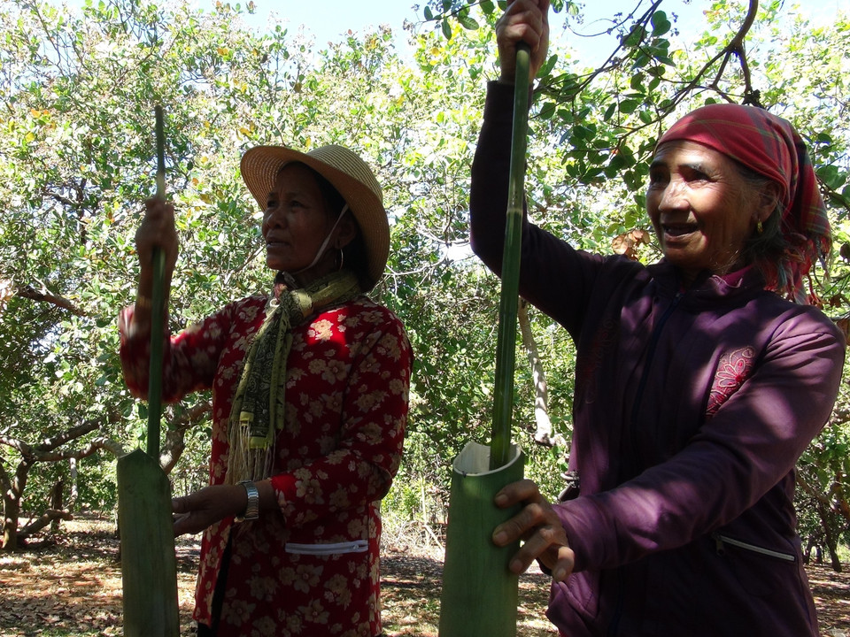 Đây được coi là món ăn đặc sản không thể thiếu trong những ngày tết, lễ hay trong đời sống thường ngày của bà con dân tộc thiểu số Bình Phước. (Ảnh: K GỬIH/TTXVN)