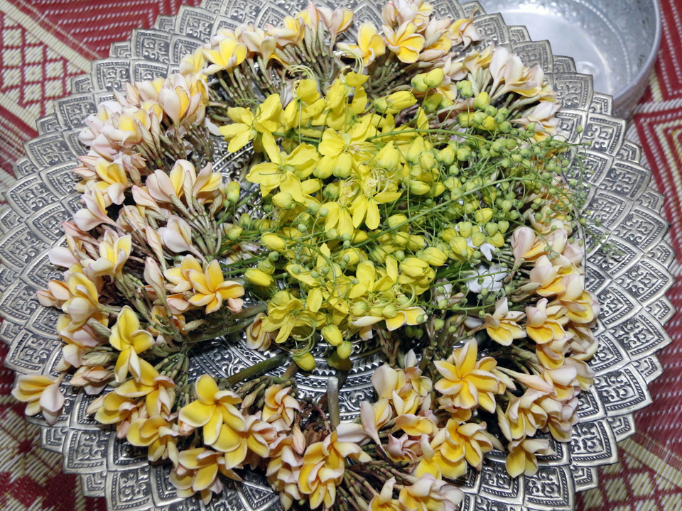 Không chỉ được trồng ở khắp nơi, Dook Khoun còn là loài hoa không thể thiếu dùng để pha chế nước tắm Phật của người Lào trong mỗi dịp Boun Pi May. (Ảnh: Phạm Kiên/Vietnam+)