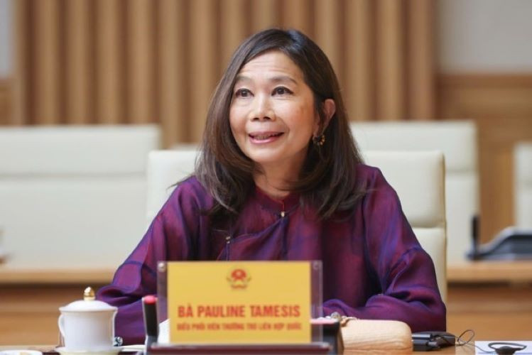 Bà Pauline Tamesis, Điều phối viên thường trú Liên hợp quốc tại Việt Nam phát biểu. (Ảnh: Dương Giang/TTXVN)