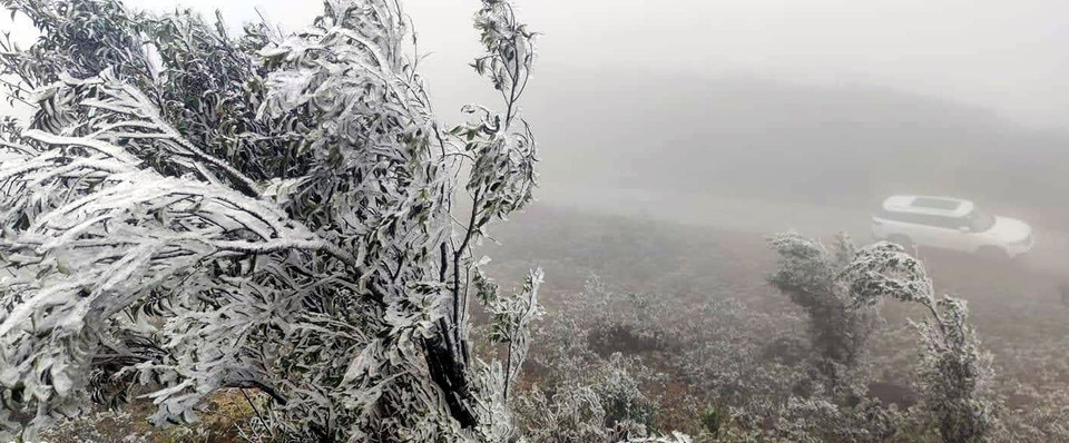 Băng giá xuất hiện ở núi Cao Ly, huyện Bình Liêu. (Ảnh: TTXVN phát)