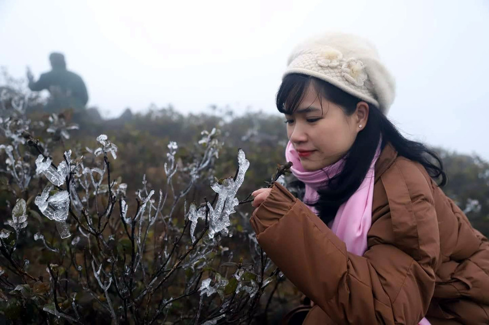 Du khách hứng thú với băng giá xuất hiện ở núi Cao Ly, huyện Bình Liêu. (Ảnh: TTXVN phát)