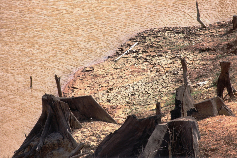 Hiện trạng khu 'nghĩa địa rừng tự nhiên' dưới đáy lòng hồ thủy điện Khe Diên.(Ảnh: Hùng Võ/Vietnam+)