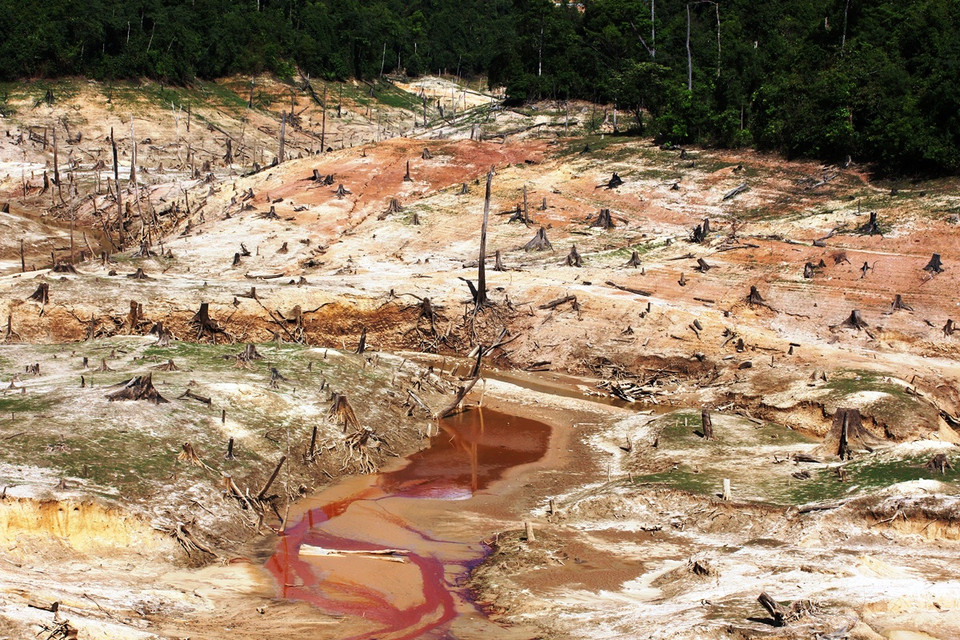 Hiện trạng khu 'nghĩa địa rừng tự nhiên' dưới đáy lòng hồ thủy điện Khe Diên.