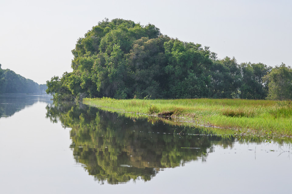 Vườn quốc gia Tràm Chim có diện tích 7.313ha. (Ảnh: Hải An/Vietnam+)