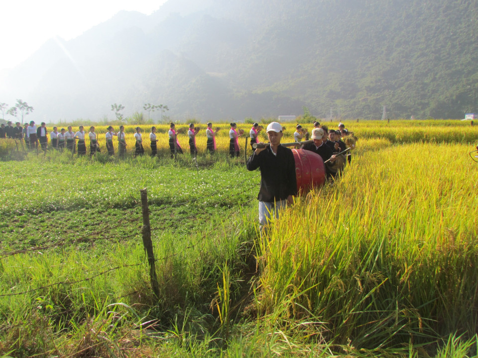 Mở màn Lễ hội Kin lẩu khẩu mẩu là nghi thức rước hồn lúa, là nghi lễ linh thiêng thể hiện sự trân quý hồn lúa và đề cao Thần nông. (Ảnh: Đinh Thùy/TTXVN)