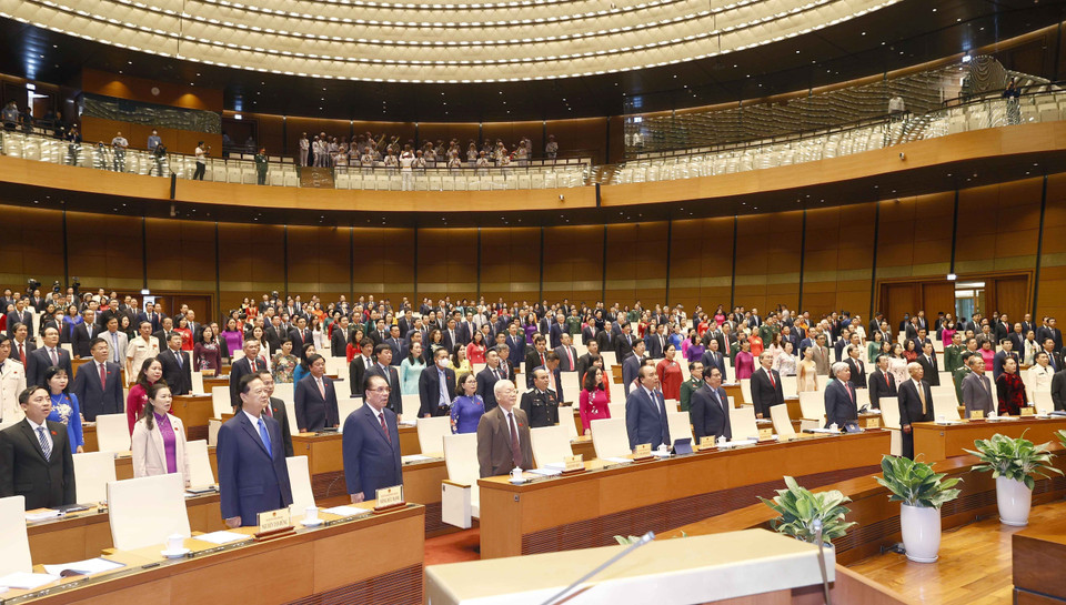 Đại biểu thực hiện nghi lễ chào cờ. (Ảnh: Doãn Tấn/TTXVN) 