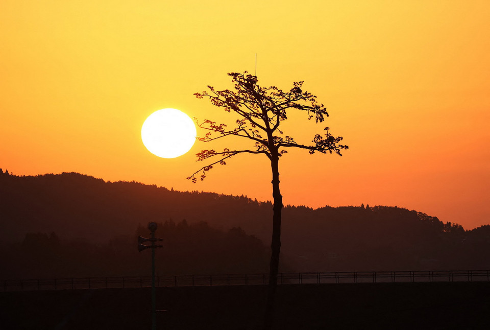 Tròn 10 năm sau thảm họa động đất và sóng thần tại vùng Đông Bắc vào ngày 11/3/2011, Nhật Bản đã nỗ lực tái thiết và phục hồi những khu vực bị tàn phá. Trong ảnh: 'Cây thông diệu kỳ', được coi là một biểu tượng của sự tái thiết và được trồng thay thế cho cây thông duy nhất còn sống sót trong rừng thông sau thảm họa động đất và sóng thần năm 2011, tại Rikuzentakata, tỉnh Iwate, Nhật Bản, ngày 11/3/2021. (Ảnh: AFP/TTXVN)