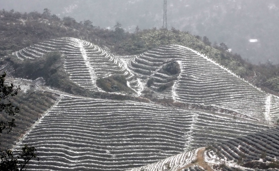 Tuyết rơi tại khu vực đèo Ô Quý Hồ. (Ảnh: Thế Duyệt/TTXVN)