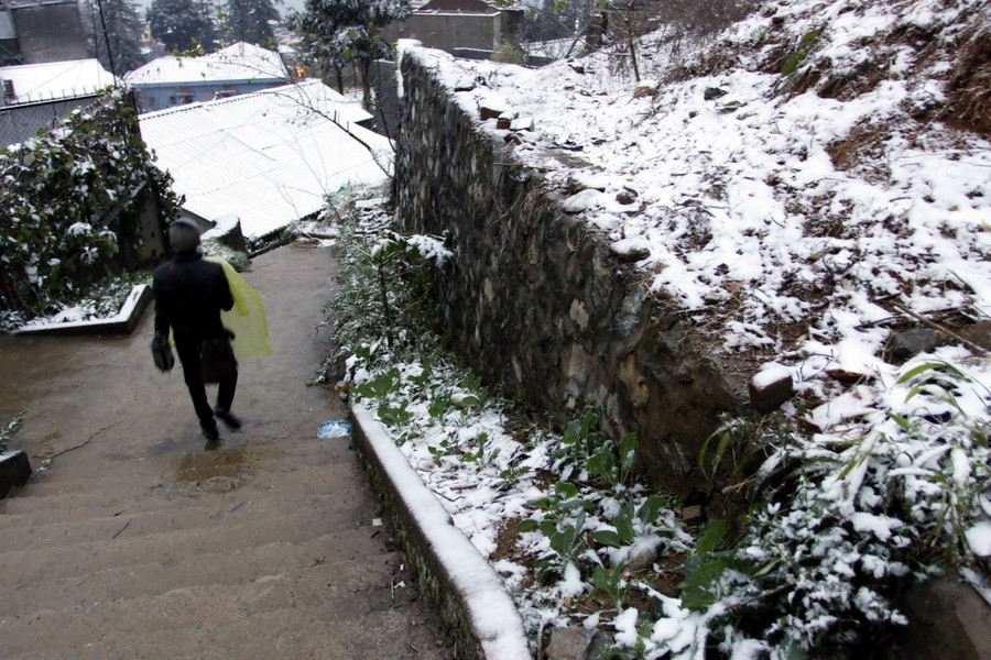 Tuyết rơi trắng các mái nhà, vườn cây ở thị trấn Sa Pa. (Ảnh: Thế Duyệt/TTXVN)